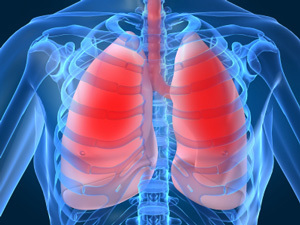 Les pathologies du poumon 
