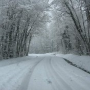 alimentation de l'hiver