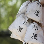 pharmacopée chinoise : 5 plantes phare
