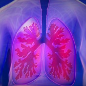 poumon troubles respiratoires automne