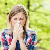 allergies aux arbres
