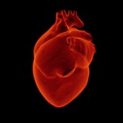 coeur médecine chinoise