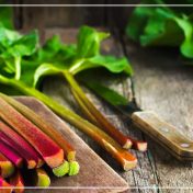 Rhubarbe de Chine, la plante aux milles vertus